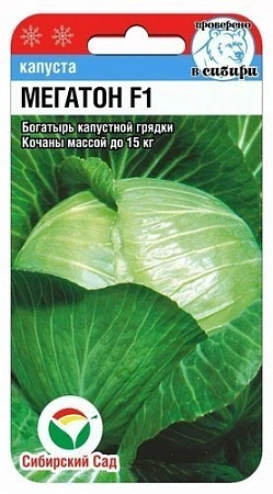 Капуста белокочанная Мегатон F1, 10 шт Капуста белокочанная Мегатон F1, 10 шт