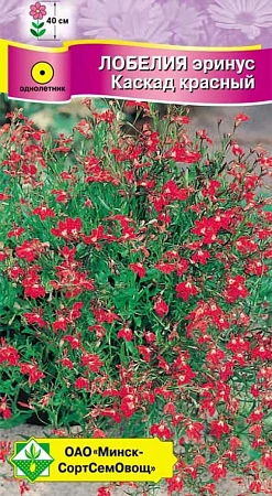 Лобелия эринус Каскад красный 0,05 г (МССО) Лобелия эринус Каскад красный 0,05 г (МССО)