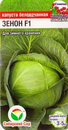 Капуста белокочанная Зенон F1, 10 шт