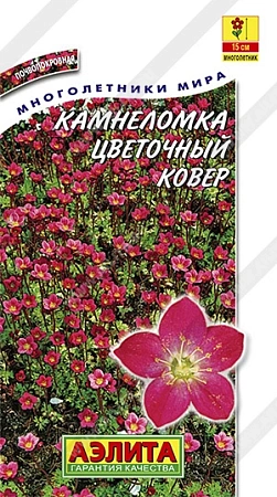 Камнеломка Цветочный ковер 0,02 г (АЭЛИТА) Камнеломка Цветочный ковер 0,02 г (АЭЛИТА)