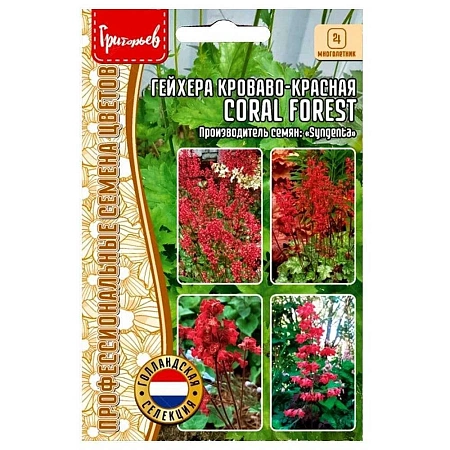 Гейхера Coral forest кроваво-красная Syngenta, 7 шт (Ред сем)