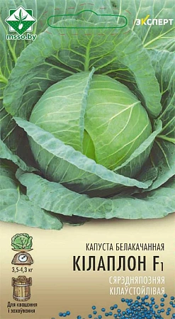Капуста белокочанная Килаплон F1, 12 шт (МССО) Капуста белокочанная Килаплон F1, 12 шт (МССО)