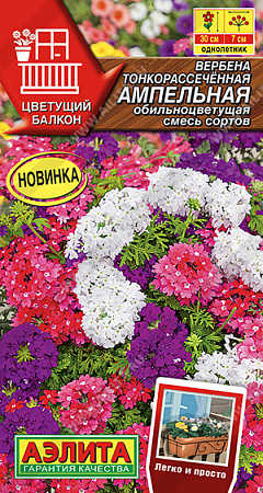 Вербена Ампельная обильноцветущая, смесь сортов 30 шт (Аэлита)