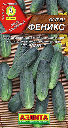 Огурец Феникс, 20 шт (Аэлита) Огурец Феникс, 20 шт (Аэлита)