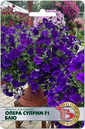 Петуния каскадная Опера Суприм F1 Блю, 5 шт (Биотехника) Петуния каскадная Опера Суприм F1 Блю, 5 шт (Биотехника)