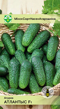 Огурец Атлантис F1, 10 шт (МССО)