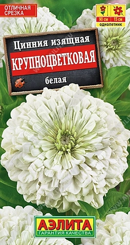 Цинния Крупноцветковая белая 0,3 г (АЭЛИТА) Цинния Крупноцветковая белая 0,3 г (АЭЛИТА)