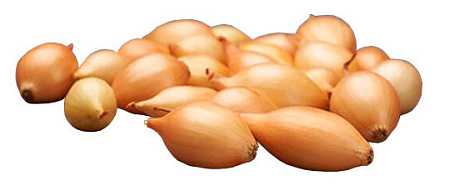 Лук-севок Геркулес, 1 кг