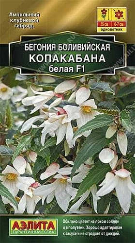 Бегония боливийская Копакабана F1 белая, 5 шт (Аэлита) Бегония боливийская Копакабана F1 белая, 5 шт (Аэлита)