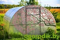 Теплица "ПЛЮС" 20x20, 6 м. - шаг 67 см (Агросфера) Теплица "ПЛЮС" 20x20, 6 м. - шаг 67 см (Агросфера)