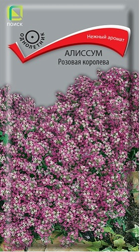 Алиссум Розовая королева, 0,3 г (Поиск) Алиссум Розовая королева, 0,3 г (Поиск)