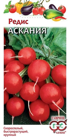 Редис Аскания, 1 г (ГАВРИШ) Редис Аскания, 1 г (ГАВРИШ)