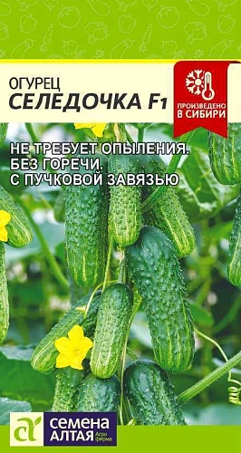 Огурец Селедочка F1, 5 шт (Сем Алт) Огурец Селедочка F1, 5 шт (Сем Алт)