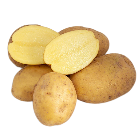 Картофель Сорая семенной (элита), 5 кг