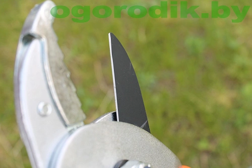 Сучкорез телескопический Hecht 020 ALGG Сучкорез телескопический Hecht 020 ALGG