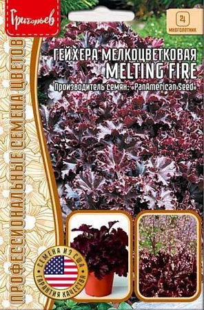 Гейхера Melting Firе мелкоцветковая многолетник, 5 шт (Ред.Сем)