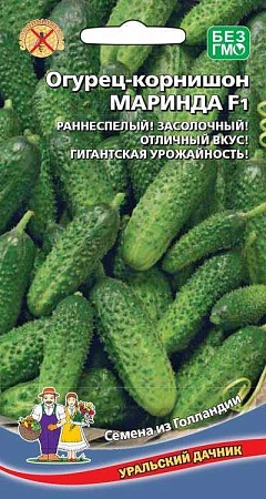 Огурец Маринда F1 (УД) Огурец Маринда F1 (УД)
