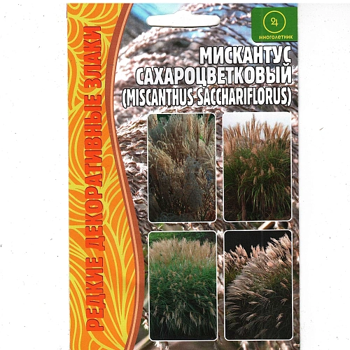 Мискантус Сахароцветковый, 0,1 г (Ред сем) Мискантус Сахароцветковый, 0,1 г (Ред сем)