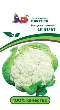 Капуста цветная Опаал F1, 20 шт Капуста цветная Опаал F1, 20 шт