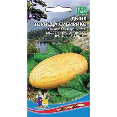 Дыня Торпеда Сибирико, 10 шт (УД)