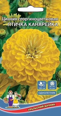 Цинния Птичка Канарейка георгиноцветковая (УД) Цинния Птичка Канарейка георгиноцветковая (УД)
