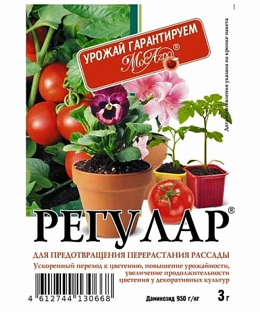 РЕГУЛАР 3 г