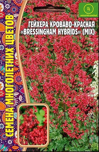 Гейхера Bressingham Hybrids кроваво-красная, 0,02 г (Ред сем) Гейхера Bressingham Hybrids кроваво-красная, 0,02 г (Ред сем)