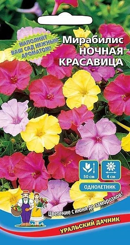 Мирабилис Ночная Красавица (УД) Мирабилис Ночная Красавица (УД)