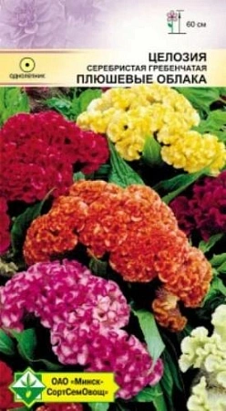 Целозия гребенчатая Плюшевые облака, смесь 0,2 г (МССО) Целозия гребенчатая Плюшевые облака, смесь 0,2 г (МССО)