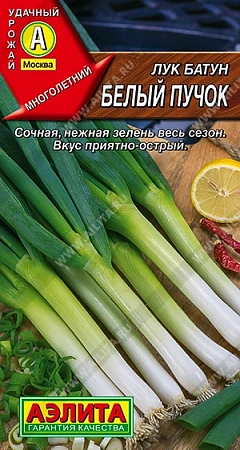 Лук батун Белый пучок 0,5 г Лук батун Белый пучок 0,5 г