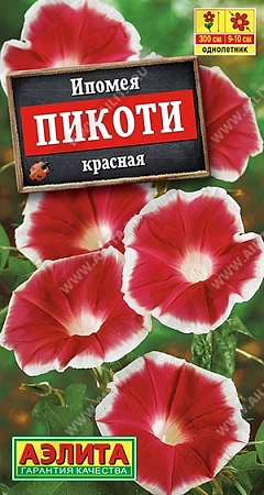 Ипомея Пикоти красная Ипомея Пикоти красная