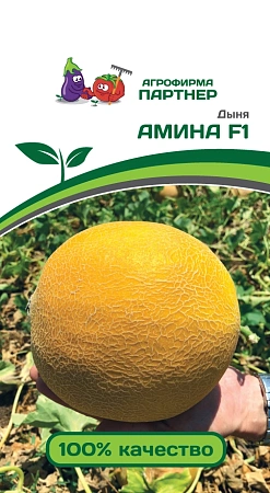 Дыня Амина F1, 5 шт (ПАРТНЕР)