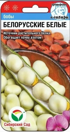 Бобы Белорусские белые, 5 шт Бобы Белорусские белые, 5 шт