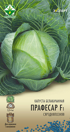 Капуста белокочанная Профессор F1, 12 шт (Эксперт) (МССО) Капуста белокочанная Профессор F1, 12 шт (Эксперт) (МССО)