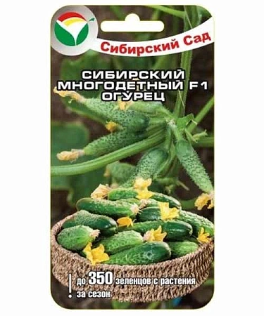Огурец Сибирский многодетный F1, 7 шт Огурец Сибирский многодетный F1, 7 шт