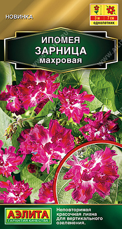 Ипомея Зарница махровая, 7 шт (Аэлита)