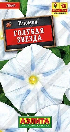 Ипомея Голубая звезда Ипомея Голубая звезда