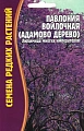 Павлония войлочная (Адамово дерево), 10 шт (Ред сем) Павлония войлочная (Адамово дерево), 10 шт (Ред сем)