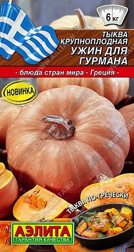 Тыква крупноплодная Ужин для гурмана 2 г (АЭЛИТА) Тыква крупноплодная Ужин для гурмана 2 г (АЭЛИТА)