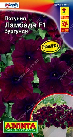 Петуния Ламбада F1 бургунди многоцветковая, 7 шт Петуния Ламбада F1 бургунди многоцветковая, 7 шт