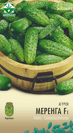 Огурец Меренга F1, 7 шт (Эксперт) (МССО) Огурец Меренга F1, 7 шт (Эксперт) (МССО)