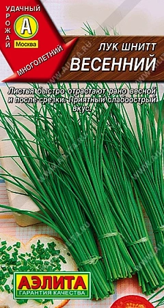 Лук шнитт Весенний 0,5 г (АЭЛИТА) Лук шнитт Весенний 0,5 г (АЭЛИТА)