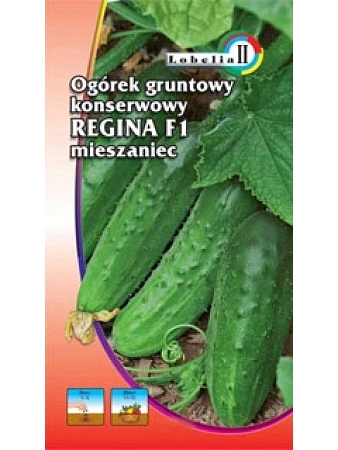 Огурец Регина, 5 г LOBELIA II