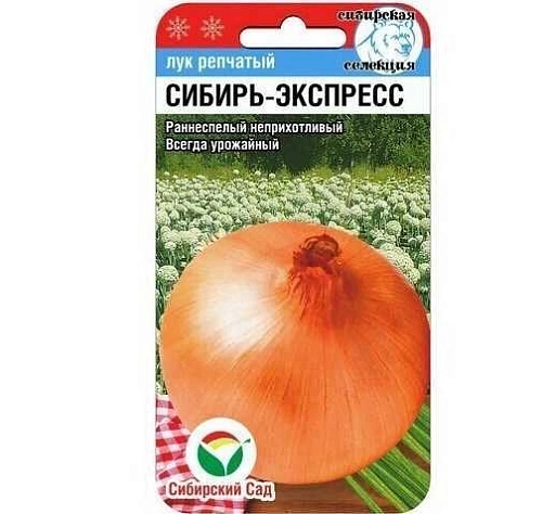 Лук репчатый Сибирь-Экспресс 1 г (Сиб Сад) Лук репчатый Сибирь-Экспресс 1 г (Сиб Сад)