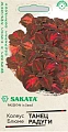 Колеус Танец радуги SAKATA 4 шт (ГАВРИШ) Колеус Танец радуги SAKATA 4 шт (ГАВРИШ)