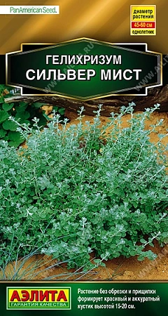 Гелихризум Сильвер мист, 3 шт