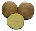 Картофель Юлия семенной (элита), 5 кг Картофель Юлия семенной (элита), 5 кг