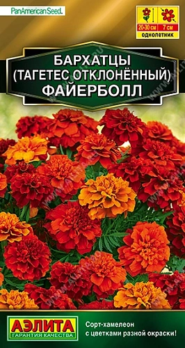 Бархатцы Файерболл, 5 шт (АЭЛИТА) Бархатцы Файерболл, 5 шт (АЭЛИТА)