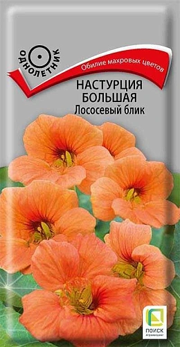 Настурция большая Лососевый блик, 1 г (Поиск) Настурция большая Лососевый блик, 1 г (Поиск)