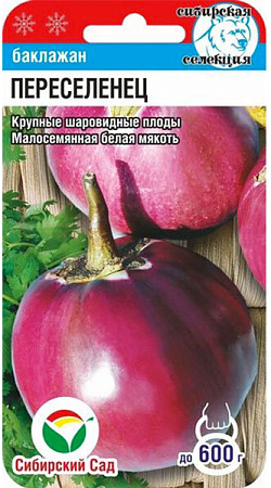 Баклажан Переселенец, 20 шт